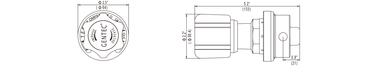 GENTEC HP152 High Purity, Medium Flow Regulator